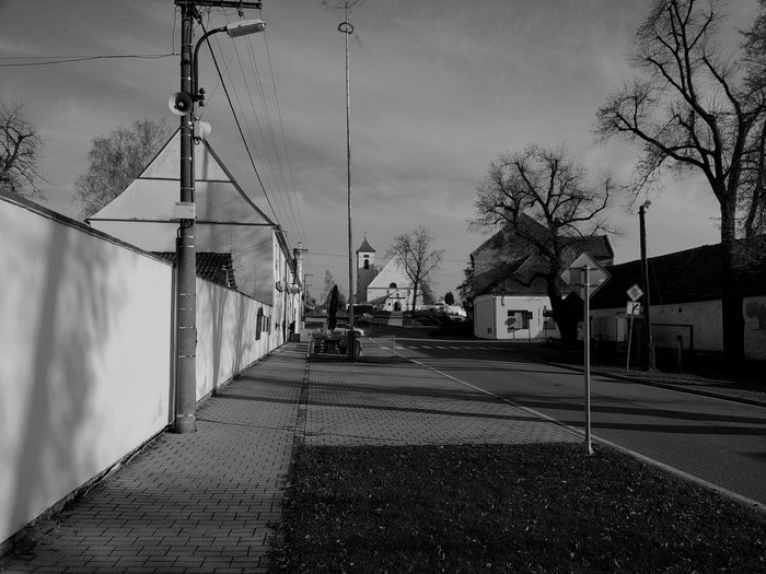 Zpravodaj 2024 Repice1 Zpravodaj 2024 Repice1